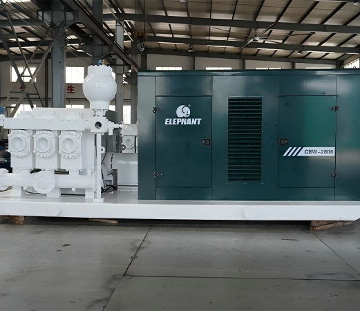 Elephant CBW-2800 Crude Oil Transfer Pump Project In Africa